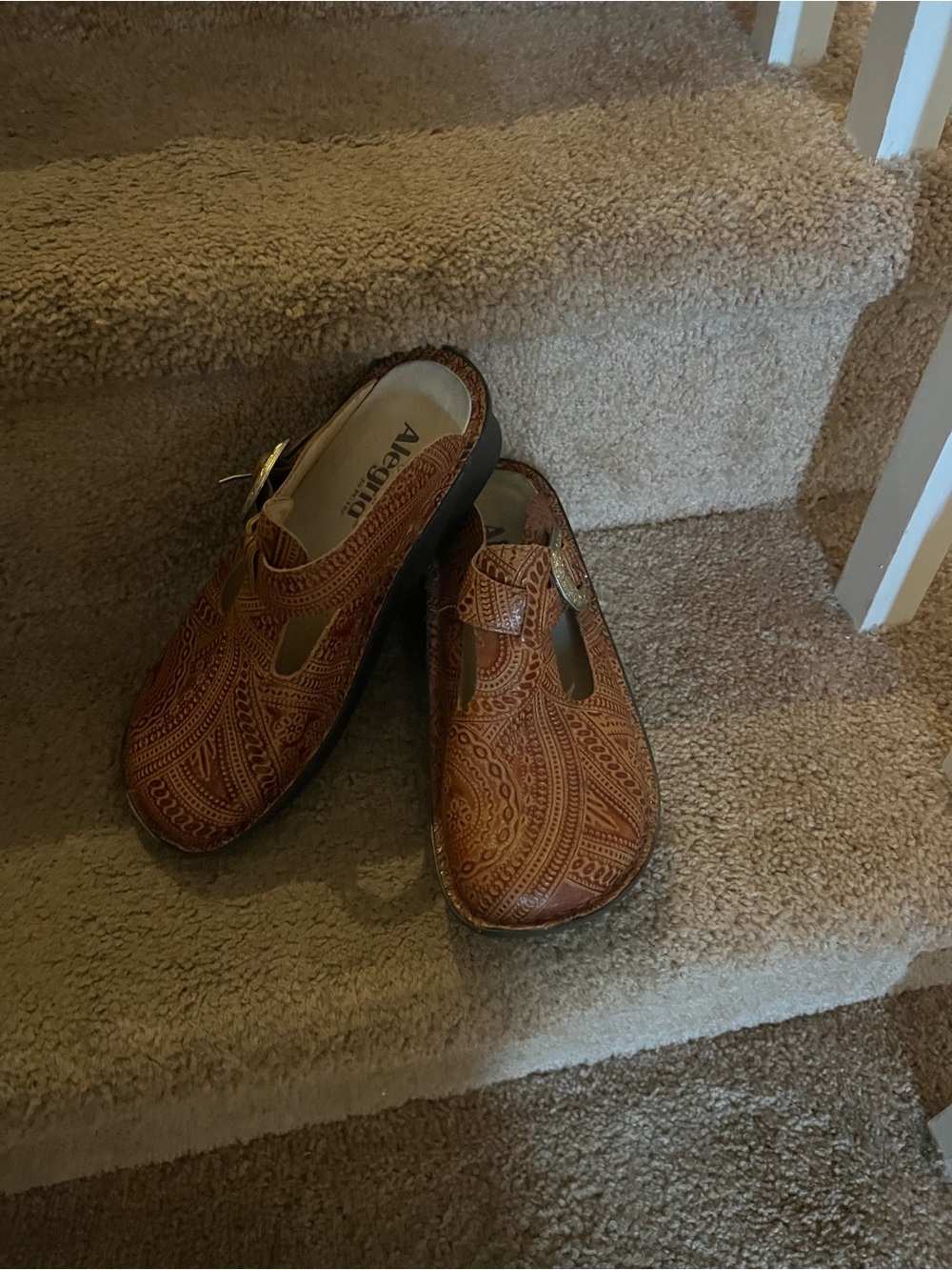 Alegria woman Brown Embossed Leather Slip-On Clogs